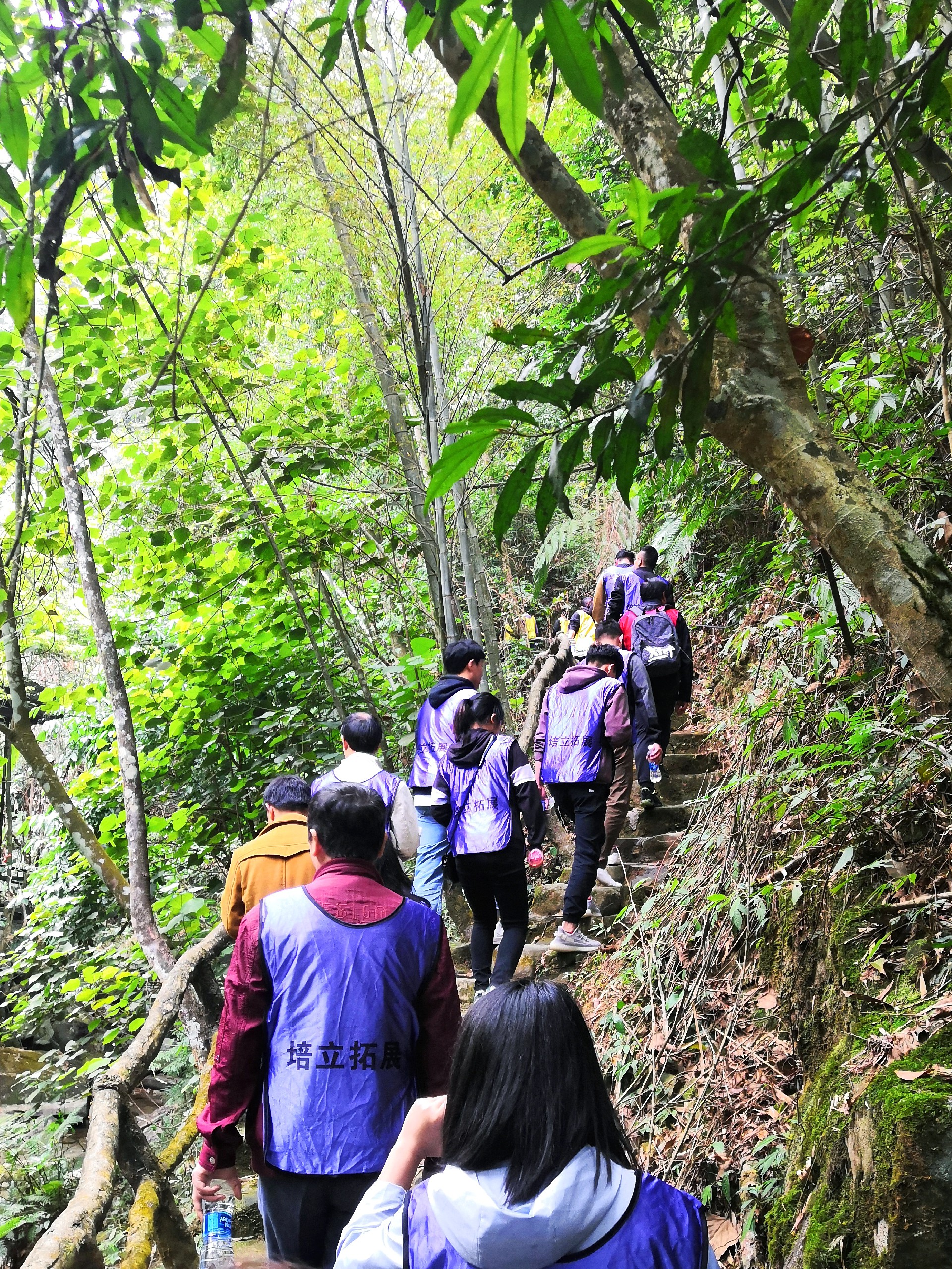 1616399979684388.jpg 1616399979684388.jpg