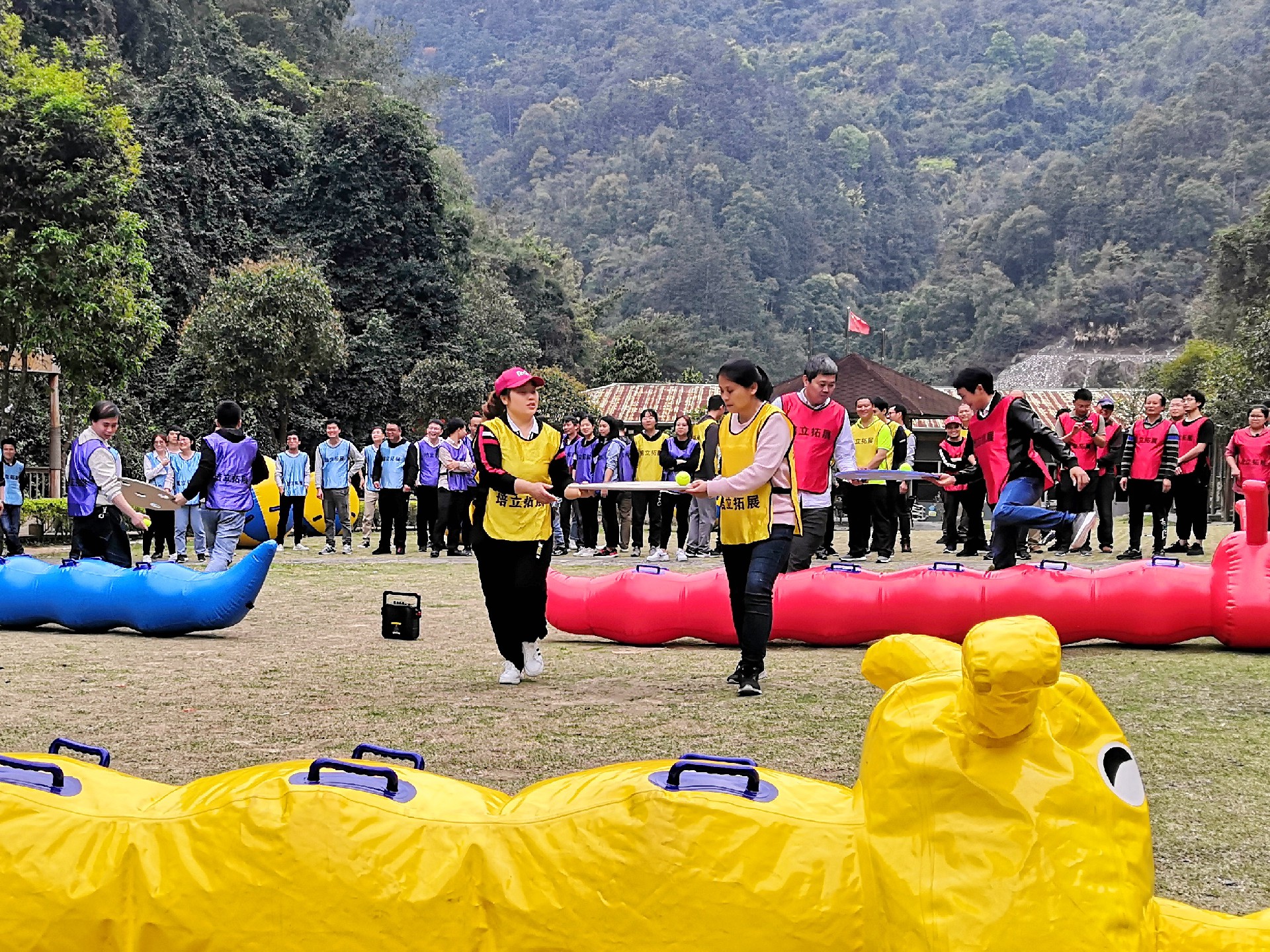 1616400295166858.jpg 1616400295166858.jpg