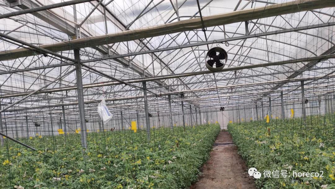 1635295368173914.jpg 1635295368173914.jpg