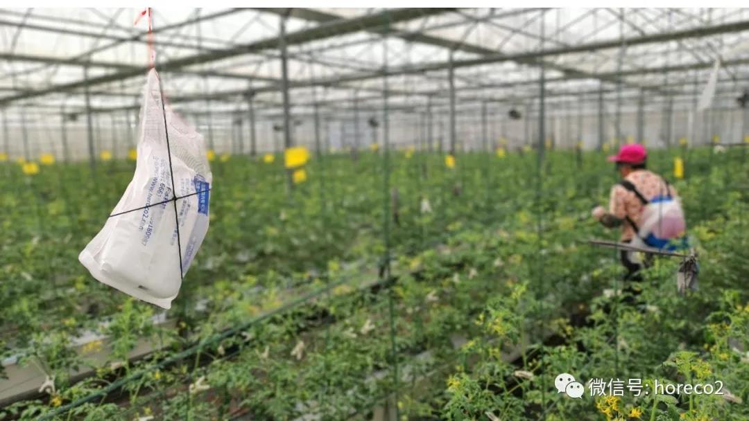 1635295387482431.jpg 1635295387482431.jpg