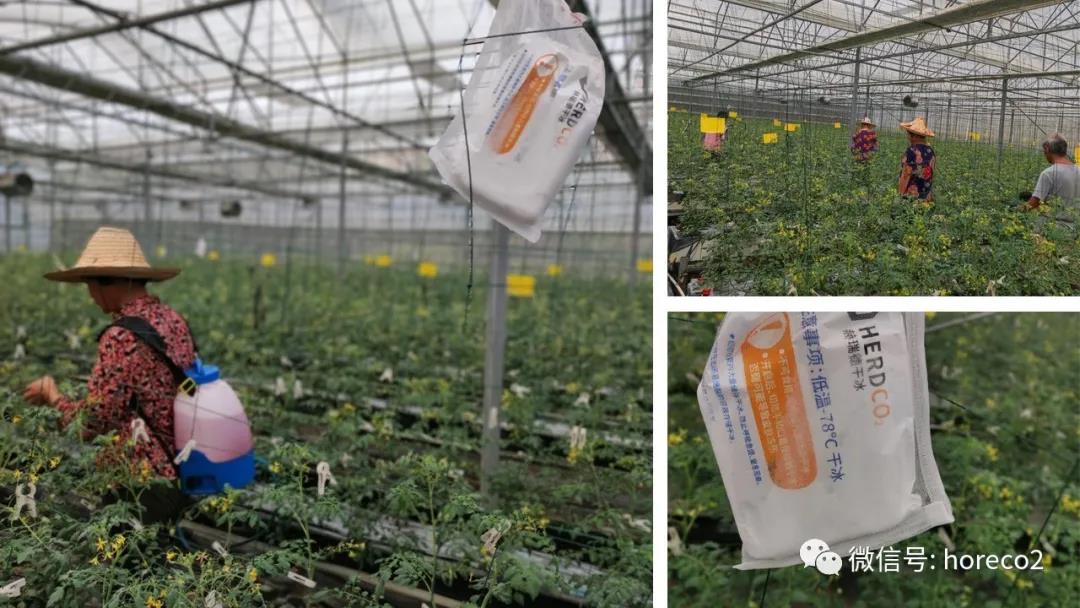 1635295418317494.jpg 1635295418317494.jpg