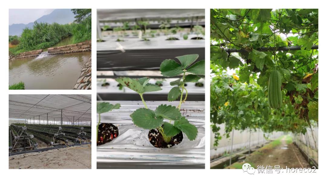 1635295453127239.jpg 1635295453127239.jpg