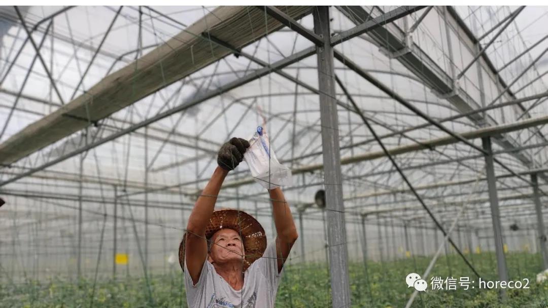 Hefengli Dry Ice Enters Agriculture