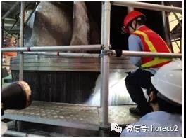 1635304109179743.jpg 1635304109179743.jpg